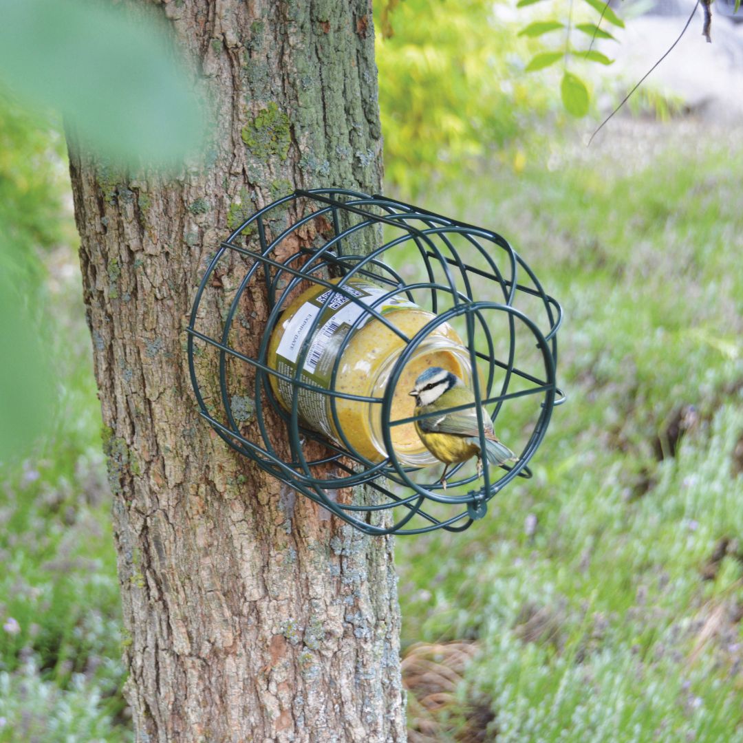 Bezpečný vtáčí kútik